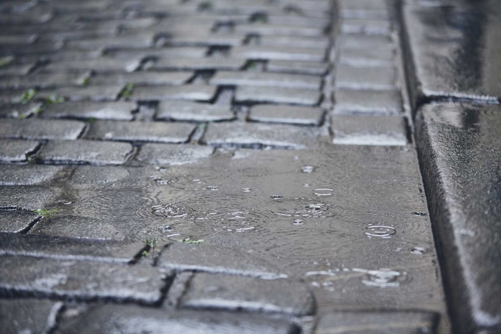 Wet cobblestone pavement with a textured surface, showing a mix of gray tones. The image captures the details of the stones and the water on them.